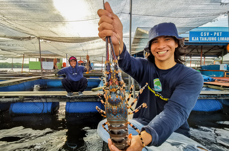 Pemberdayaan Keramba Jaring Apung